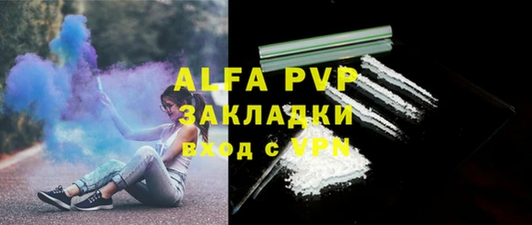 стаф Усмань
