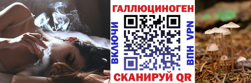 Галлюциногенные грибы Magic Shrooms  Мещовск 